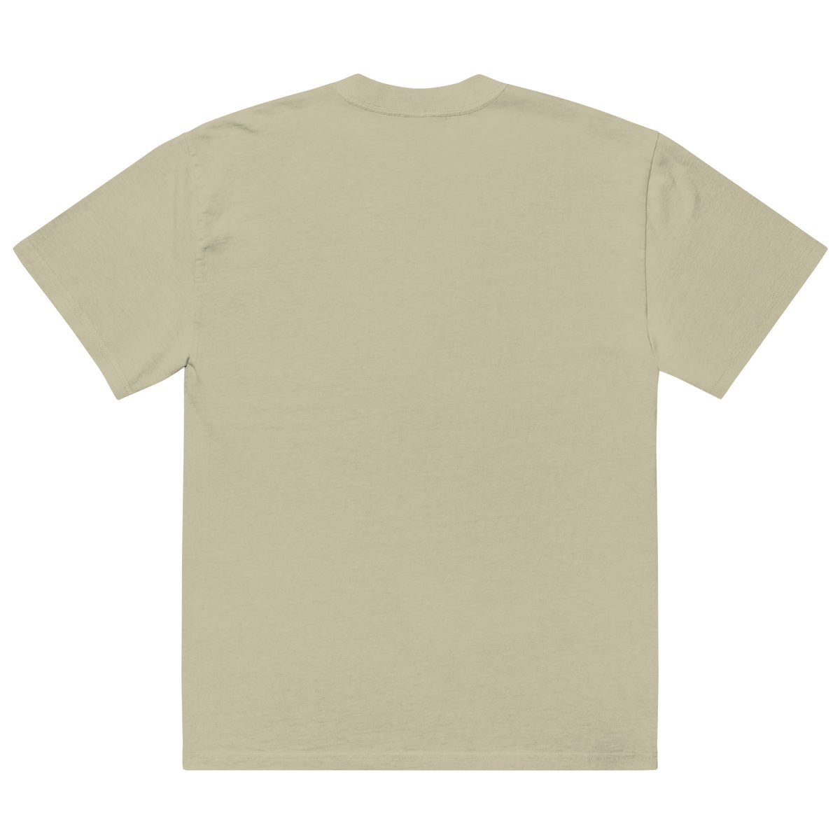 Oversized faded t-shirt — Faded Eucalyptus